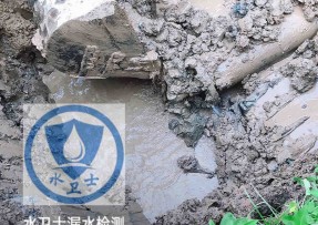 葫芦岛水管漏水检测公司5